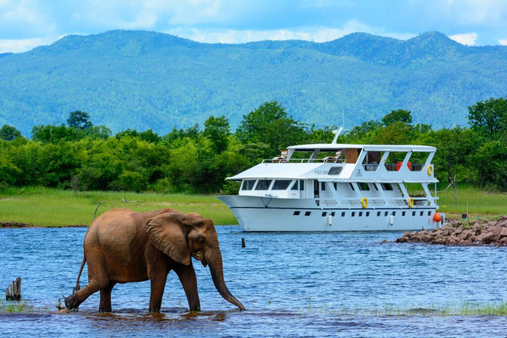 Lake Kariba Cruising Experience