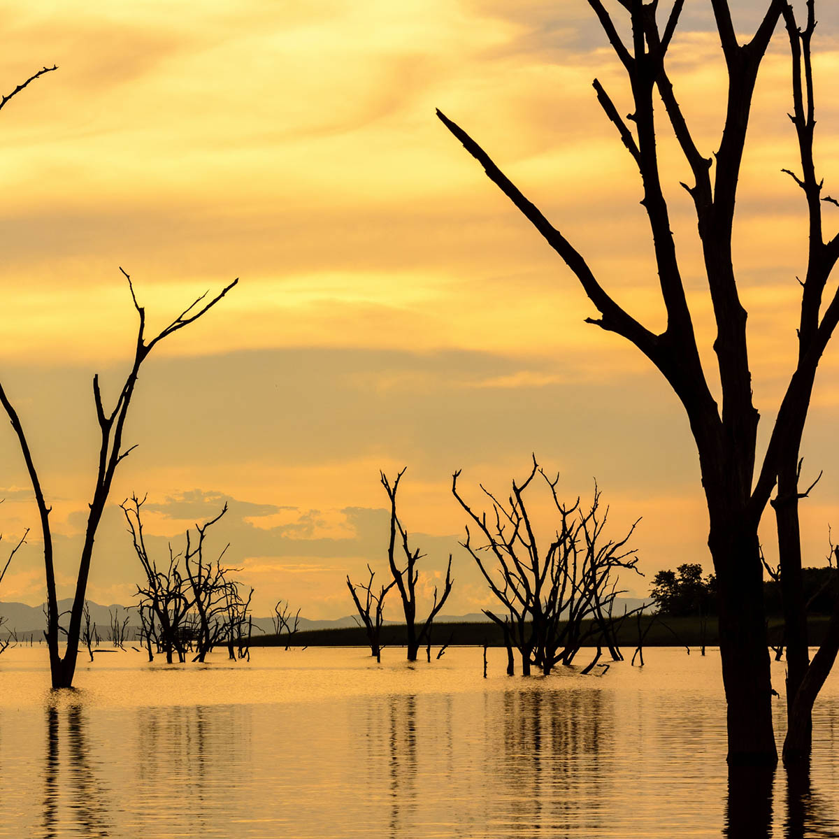 Kariba. Zimbabwe