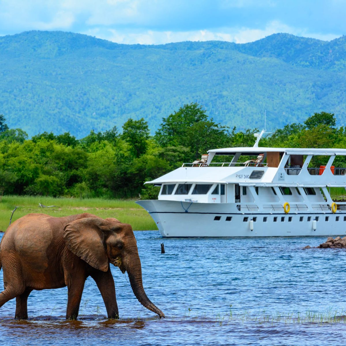 Lake Kariba Cruising Experience