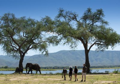 Nyamatusi Camp_2